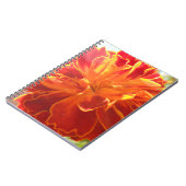 吻合 ノートブック (左側)