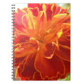 吻合 ノートブック (正面)