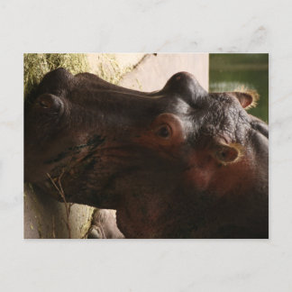 呂羽 ポストカード