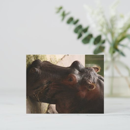 呂羽 ポストカード (スタンド正面)