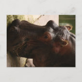 呂羽 ポストカード (正面)