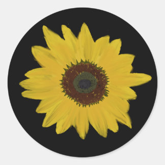 周りのシール ラウンドシール