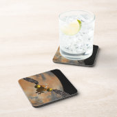 周回する火星。 コースター (右側)