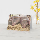 周年記念豚 カード (黄色い花)