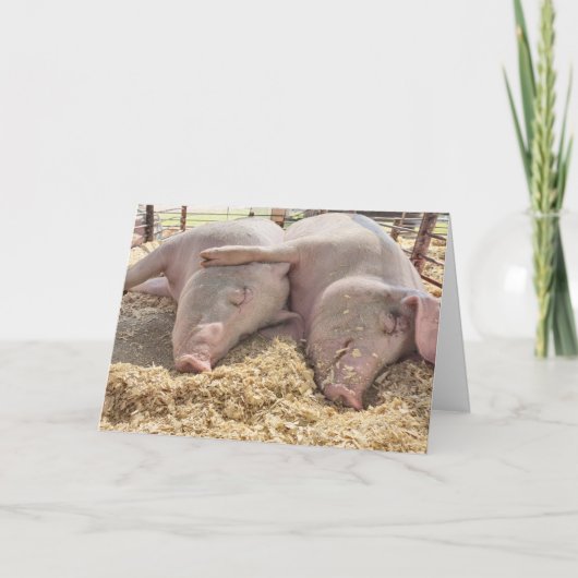 周年記念豚 カード (正面)