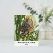 周期性セミ大型昆虫マクロ写真 ポストカード (スタンド正面)