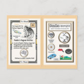 周期表ドラゴン - プラチナ ポストカード (裏面)