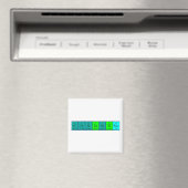 周期表名磁石の比較 マグネット (インサイチュ (食洗機))