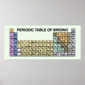 周期表野鳥観察 ポスター (正面)