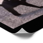 呪われた猫のミーム怒が良いミーム ポスター (角)