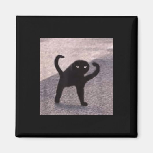 呪われた猫のミーム怒が良いミーム マグネット (正面)