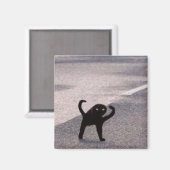 呪われた猫のミーム マグネット (正面/裏面)