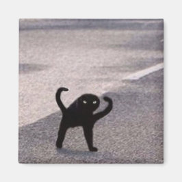 呪われた猫のミーム マグネット