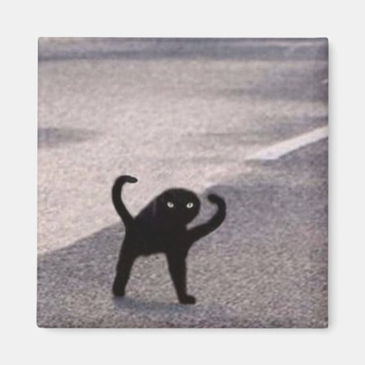 呪われた猫のミーム マグネット (正面)