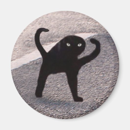 呪われた猫のミーム マグネット (正面)