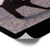 呪われた猫ミーム呪われた猫怒をミーム ポスター (角)