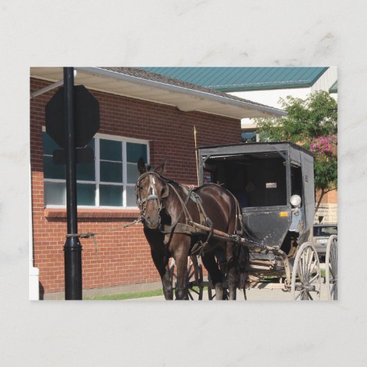 呪文の際ストップに愛馬が付くストップこと ポストカード (正面)