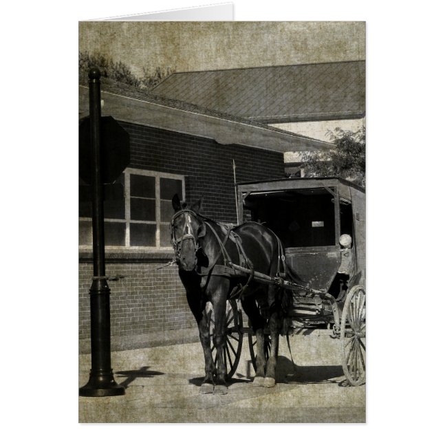 呪文を唱える者は、合図の時に馬を鳴らストップす。 (正面)