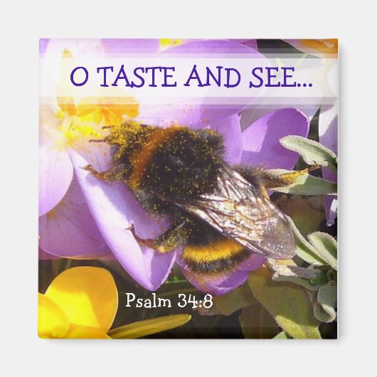 味見！～磁石 マグネット (正面)