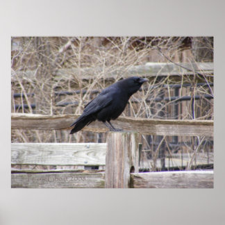 呼び出し時1 ポスター