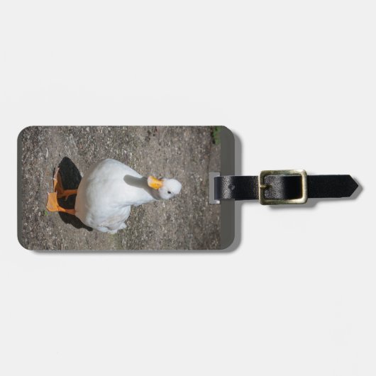 呼出しアヒル ラゲッジタグ (正面横)