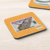 呼出し1-800-LOLCATS コースター (左側)