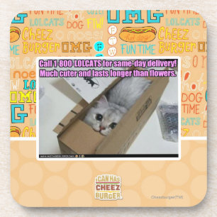 呼出し1-800-LOLCATS コースター