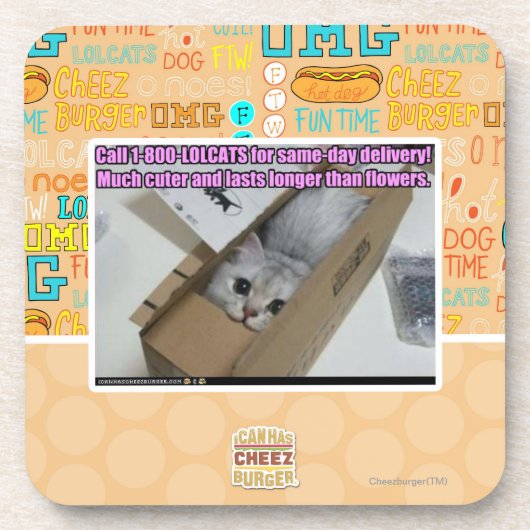 呼出し1-800-LOLCATS コースター (正面)