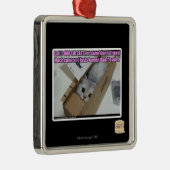 呼出し1-800-LOLCATS メタルオーナメント (右)