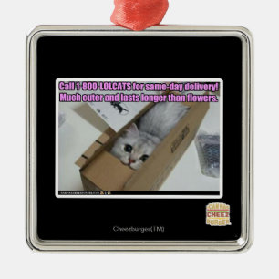 呼出し1-800-LOLCATS メタルオーナメント