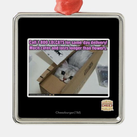 呼出し1-800-LOLCATS メタルオーナメント (正面)