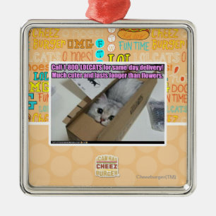 呼出し1-800-LOLCATS メタルオーナメント
