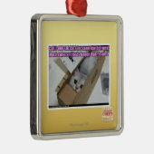 呼出し1-800-LOLCATS メタルオーナメント (右)