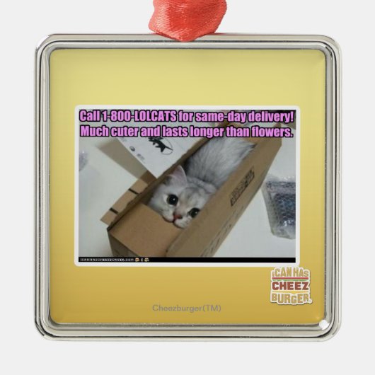 呼出し1-800-LOLCATS メタルオーナメント (正面)