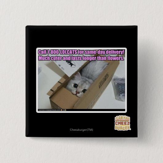呼出し1-800-LOLCATS 缶バッジ (正面)