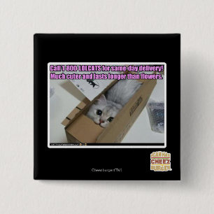 呼出し1-800-LOLCATS 缶バッジ
