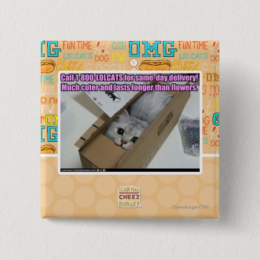 呼出し1-800-LOLCATS 缶バッジ (正面)