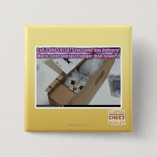 呼出し1-800-LOLCATS 缶バッジ (正面)