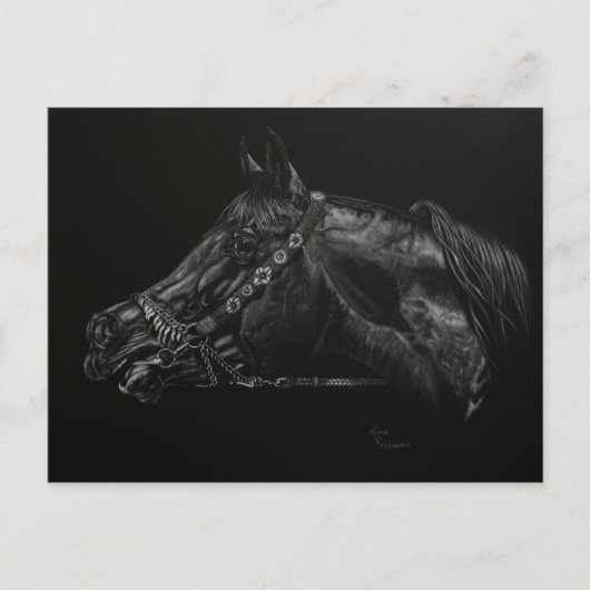 呼出し ポストカード (正面)