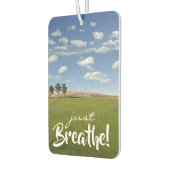 呼吸しろ！サニーデイグリーンパスチャー カーエアーフレッシュナー (左)