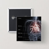 呼吸器およびハートの図表 缶バッジ (正面&裏面)