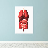 呼吸器と消化器系の器官 キャンバスプリント (インサイチュ (ウッドフロア))