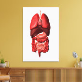 呼吸器と消化器系の器官 キャンバスプリント (インサイチュ (リビング))