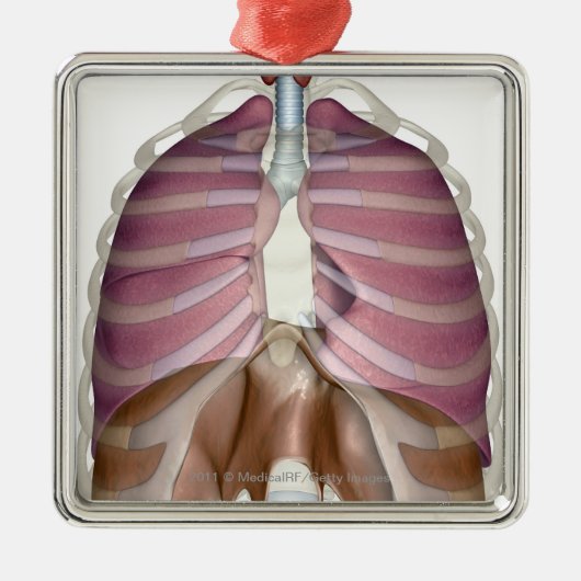 呼吸器の3dレンダリング メタルオーナメント (正面)