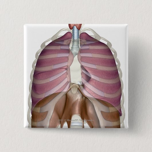 呼吸器の3dレンダリング 缶バッジ (正面)