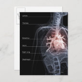 呼吸器系とハート図 ポストカード (正面/裏面)