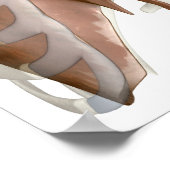 呼吸描写系の3d数 ポスター (角)