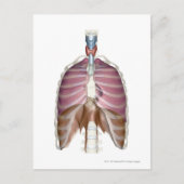 呼吸描写系の3d数 ポストカード (正面)