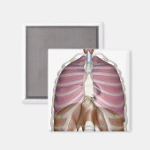 呼吸描写系の3d数 マグネット (正面/裏面)