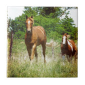 呼来び出されたとき二頭の馬 タイル (正面)